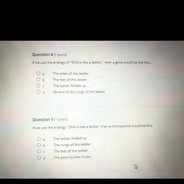 Can anyone answer these questions for me?-example-1