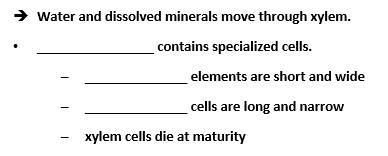 Please help me with this-example-1