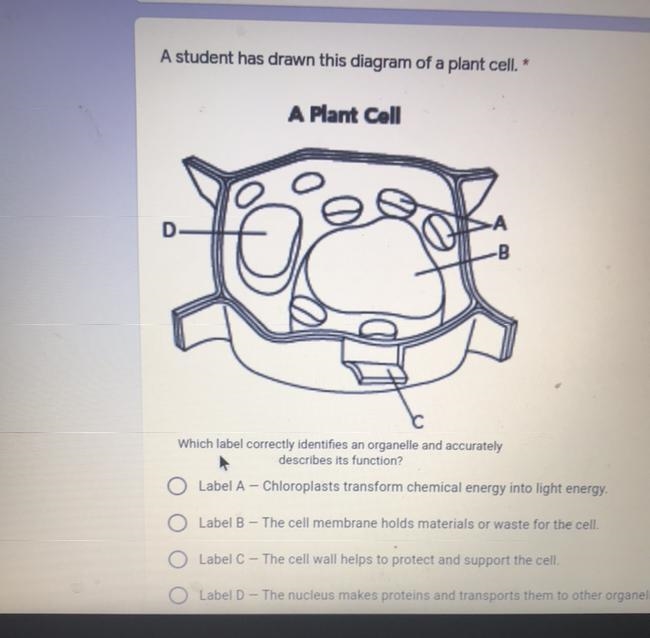 Due today kinda need help-example-1