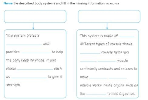 Name the described body systems and fill in the missing information. [30 points] :)-example-1