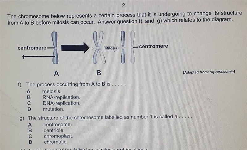 Answer f and g urgently it relates to the picture ​-example-1