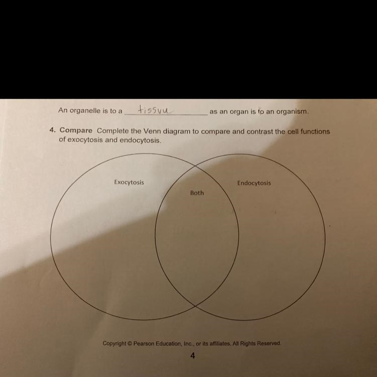 Help please!! We have been up for like 2 hours and this is our last questions!!-example-1