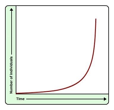 What is true of the population shown in this graph? A) The population has increased-example-1