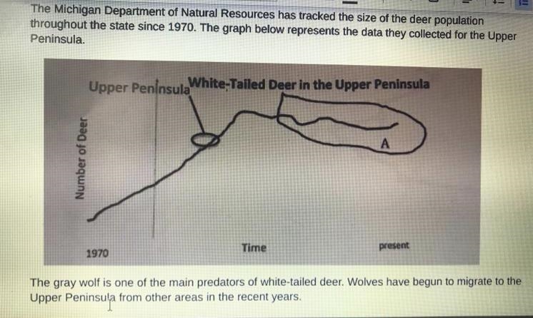 Why does the section of the graph labeled A seem to go up and down as time passes-example-1