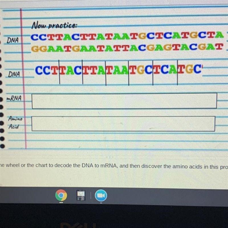 Jse either the wheel or the chart to decode the DNA to mRNA, and then discover the-example-1