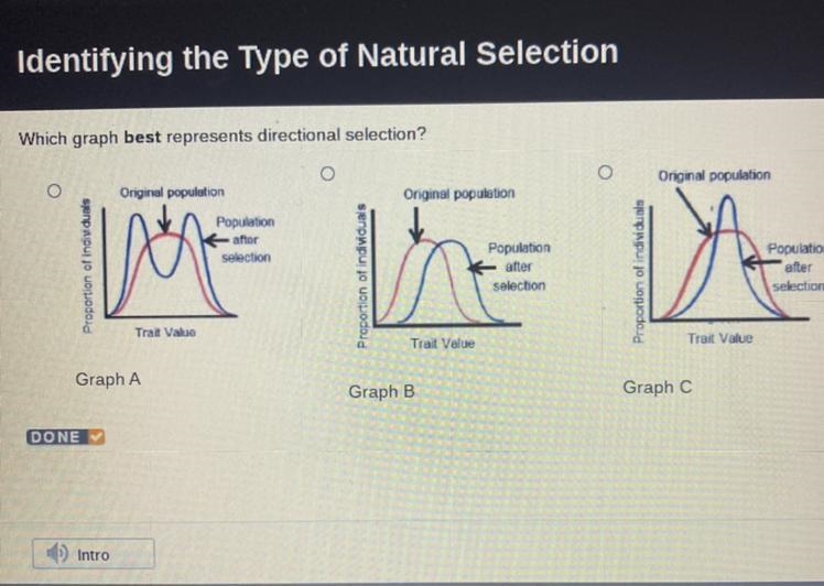 Which graph best represents directional selection? -Graph A -Graph B -Graph C-example-1