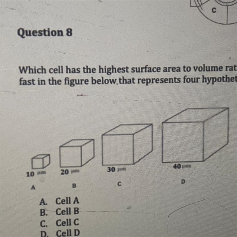 Which cell has the highest surface area to volume ratio so that molecules pass through-example-1