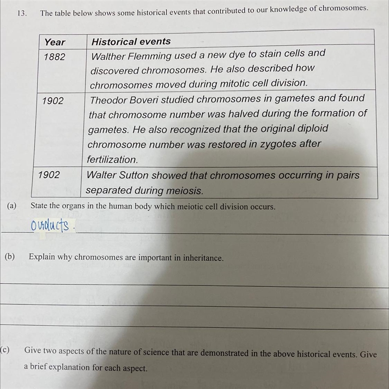 Explain why chromosomes are important in inheritance ?-example-1