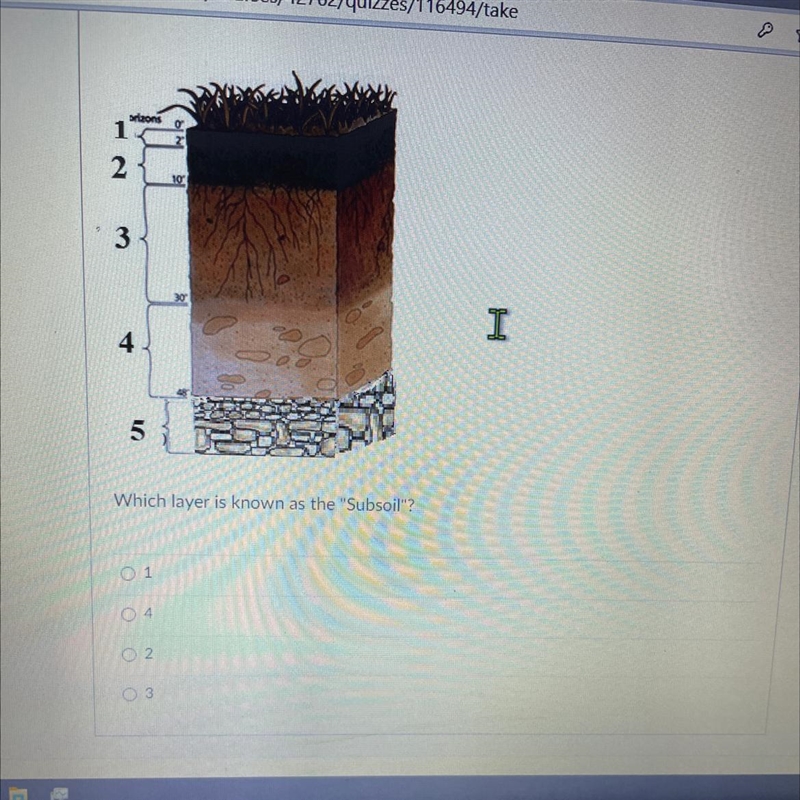 Which layer is known as subsoil?-example-1