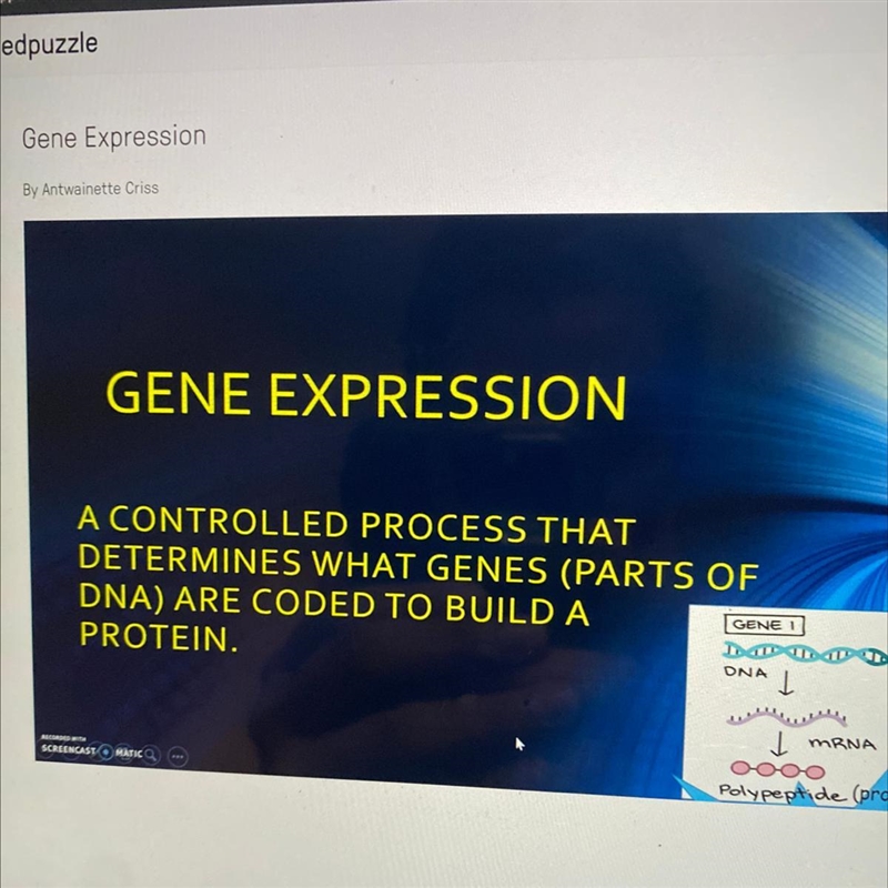 The segment of DNA that is being transcribed (in this video) is the.... A. dark part-example-1