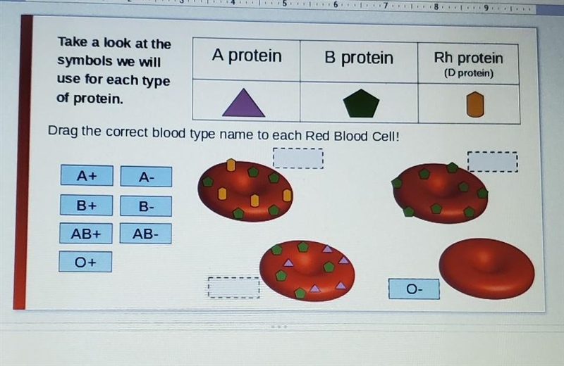 Help please. blood types​-example-1