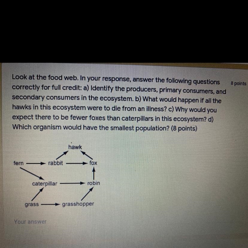 8 points Look at the food web. In your response, answer the following questions correctly-example-1