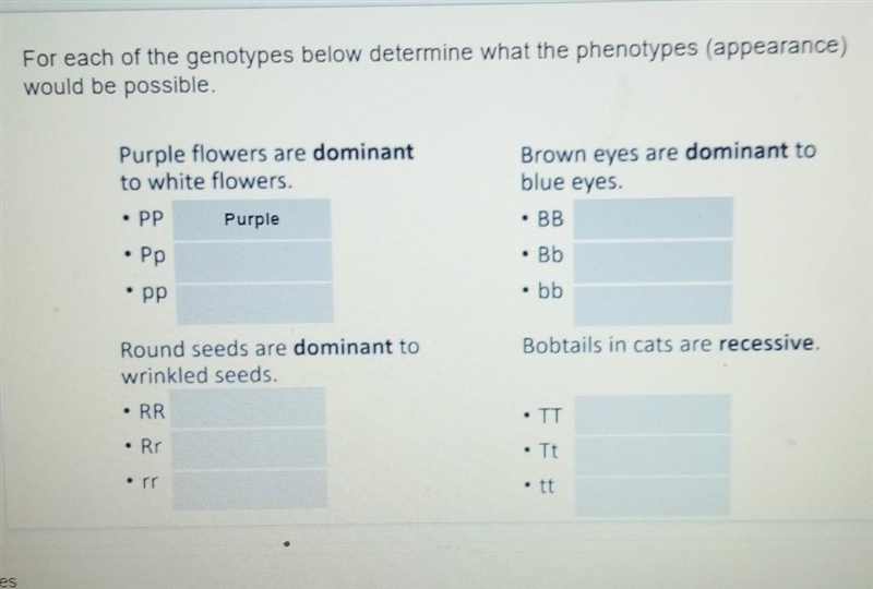 Genotypes please help !​-example-1