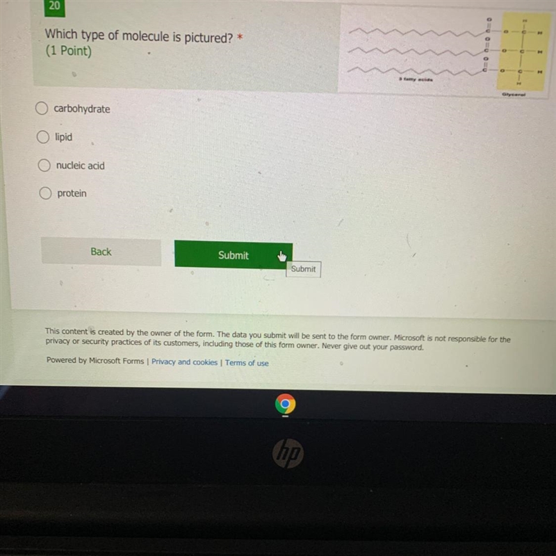 20 Which type of molecule is pictured? * (1 Point) carbohydrate lipid nucleic acid-example-1