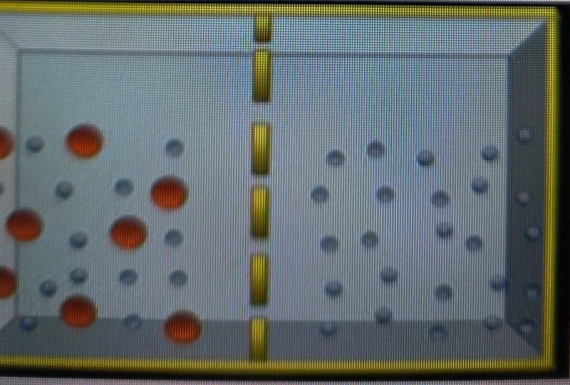 22. According to the following picture, if the middle dashed line represents a phospholipid-example-1