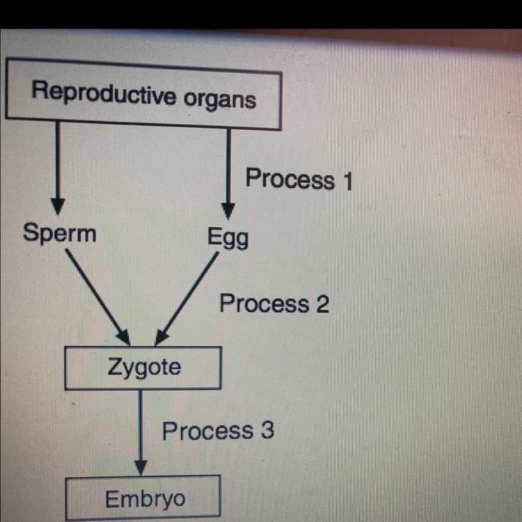 Picture attached- pls help Base your answers to Parts A and B on the diagram below-example-1