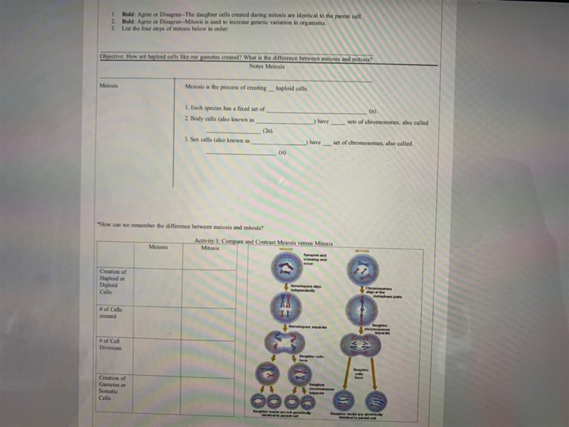 Old: Agree or Disagree--The daughter cells created during mitosis are identical to-example-1