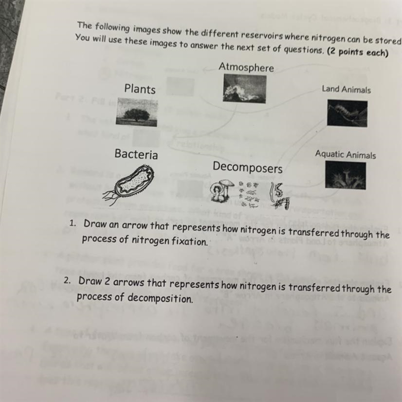 Where do i draw the arrows-example-1