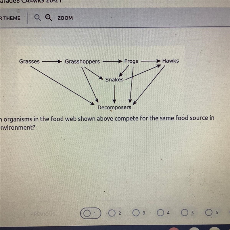 Which organisms in the food web shown above compete for the same food source in this-example-1