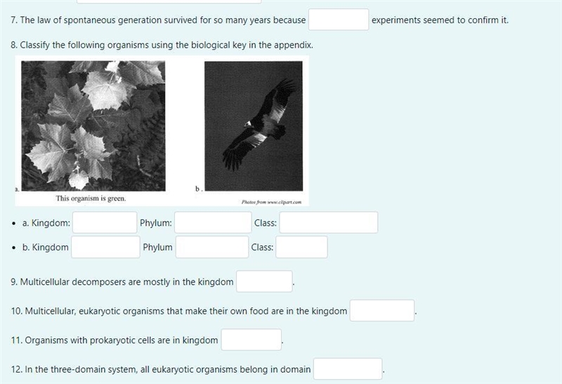 Help me with these question please. a. Kingdom: ----- Phylum: ---- Class:---- b. Kingdom-example-1