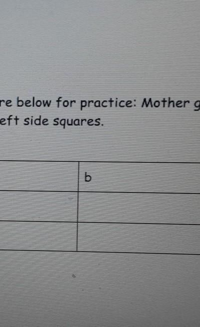 Add a brown eyes cross in the Punnett Square below for practice: Mother genotype (Bb-example-1