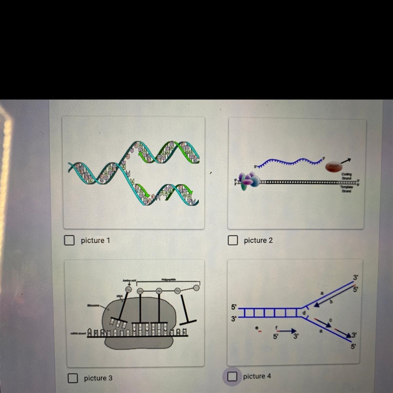 Which picture indicates the process of DNA replication correctly?-example-1