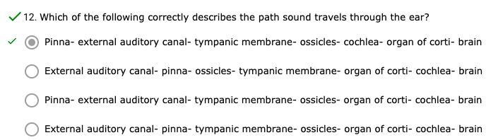 Which of the following correctly describes the path sound travels through the ear-example-1