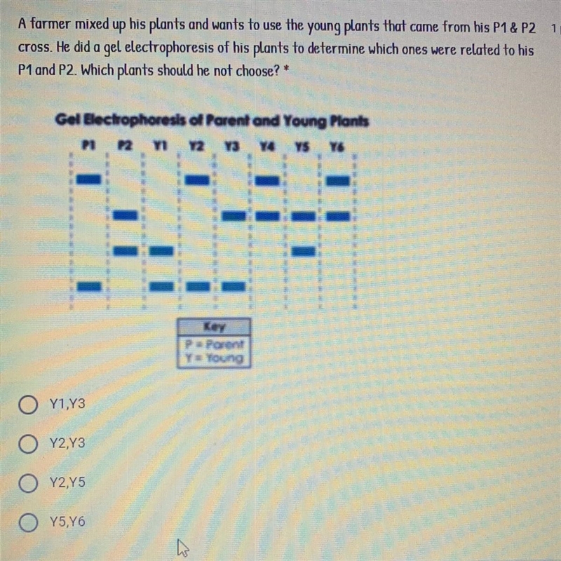 HELP ASAP. Answer problem in photo.-example-1