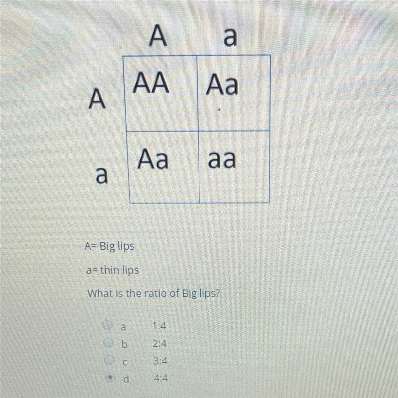 A а АА Аа A Аа аа а A+ Big lips a= thin lips What is the ratio of Big lips? а 1:4 2:4 3:4 4:4-example-1