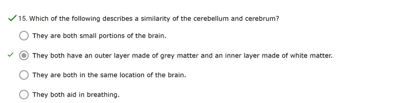 Which of the following describes a similarity of the cerebellum and cerebrum?-example-1