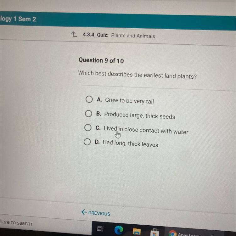 Which best describes the earliest land plants?-example-1