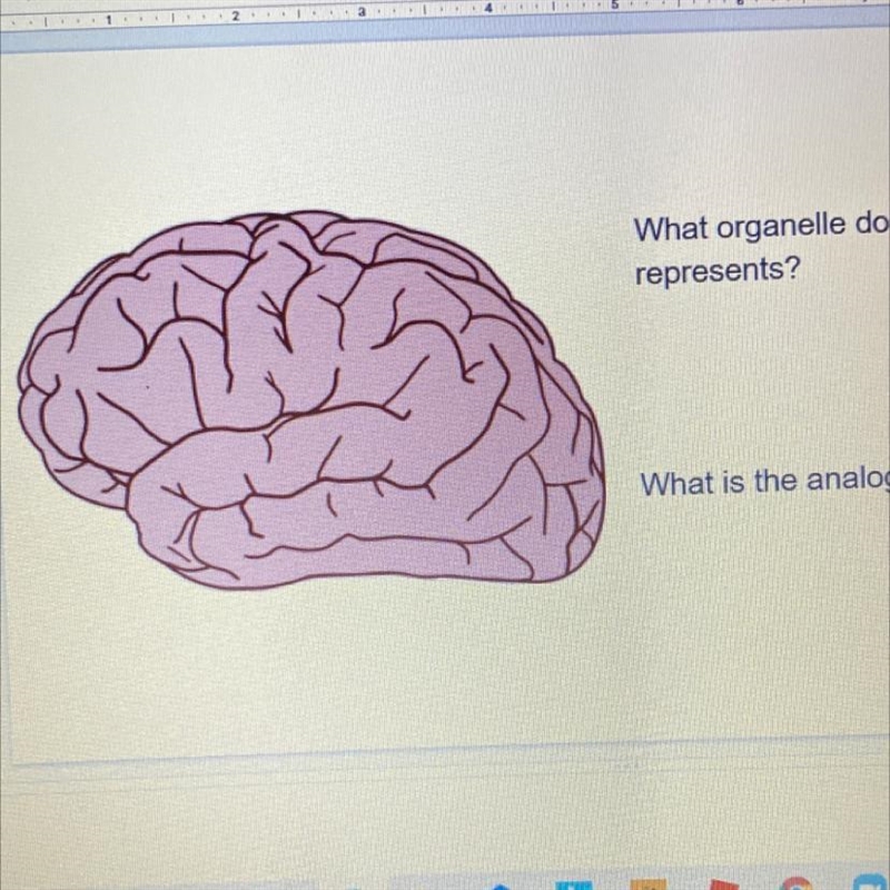 What organelle do you think this represents? What is the analogy?-example-1