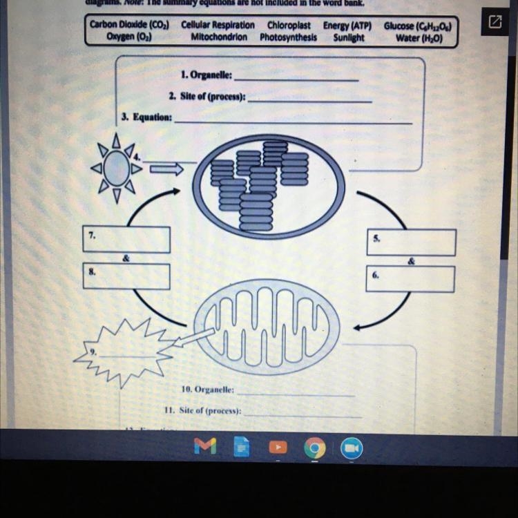 Please help me it’s due today , there’s number 10 also-example-1