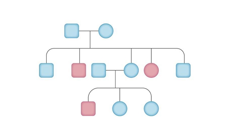 What is the type of inheritance shown in the following pedigree? Blue represents no-example-1