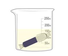 Describe the final conditions. The tubing contains A- starch solution B- lugol's solution-example-1