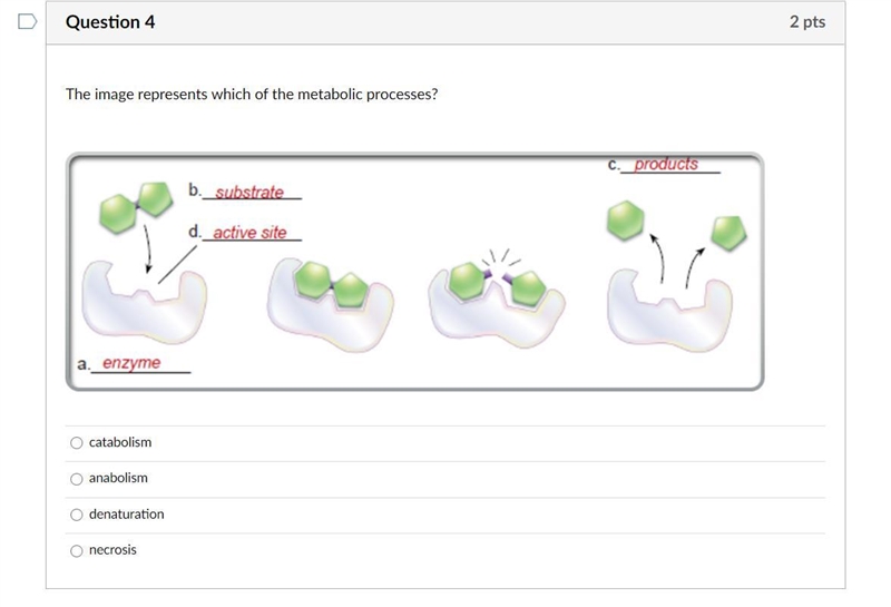 Please help ::( i wanna pass w good grades-example-1