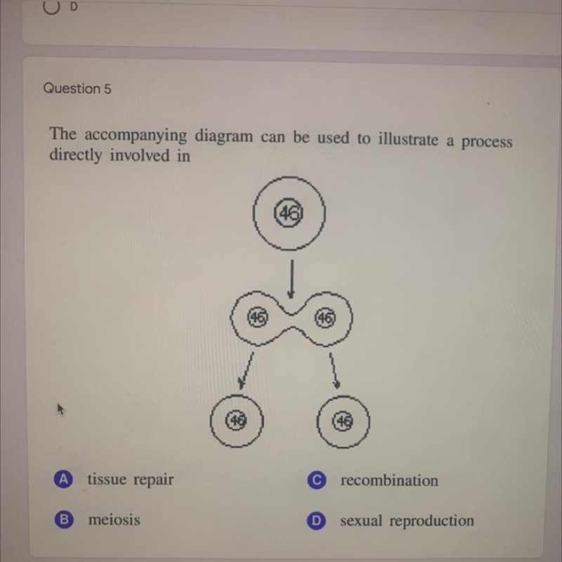 The accompanying diagram can be used to illustrate a process directly involved in-example-1