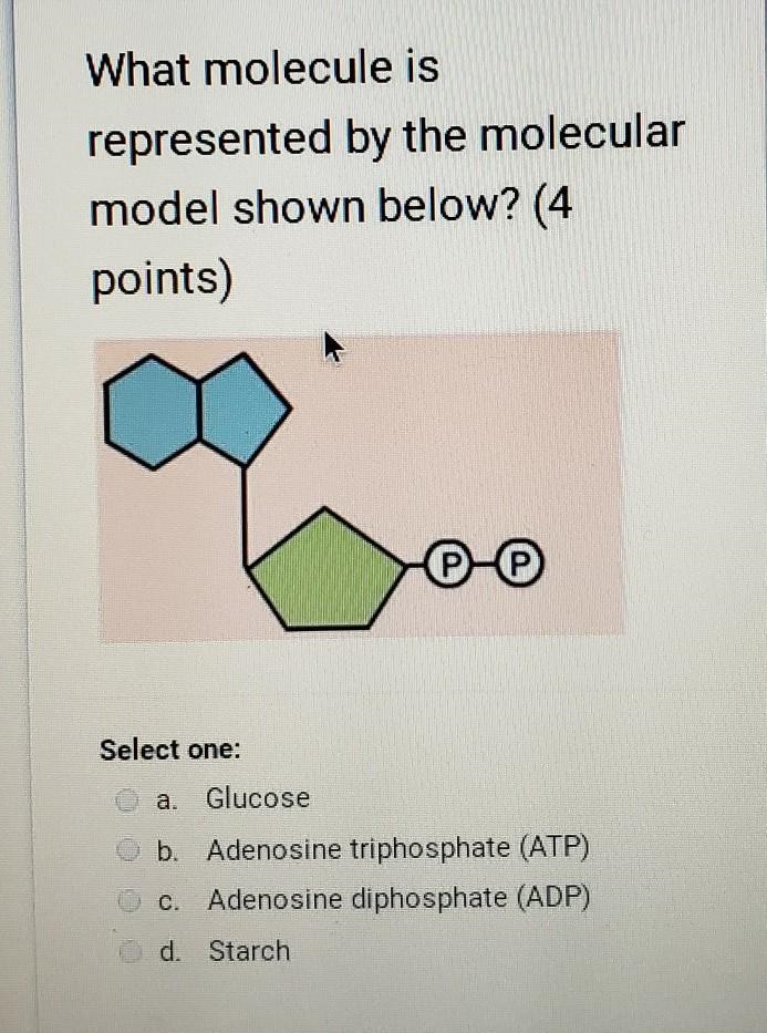 I dont know how to do this ​-example-1