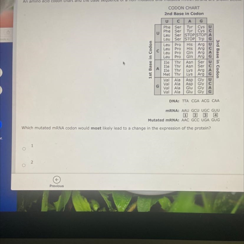 Which mutated mRNA codon would most likely lead to a change in the expression of the-example-1