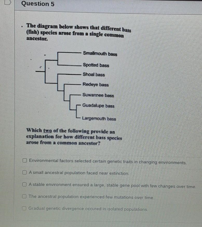 I NEED HELP ASAP! PLS HELP! PLEASE PROVIDE THE CORRECT ANSWERS!​-example-1