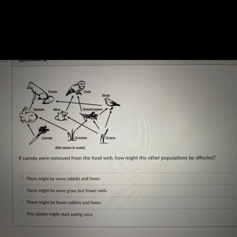 HELP PLEASE If carrots were removed from the food web, how might the other populations-example-1