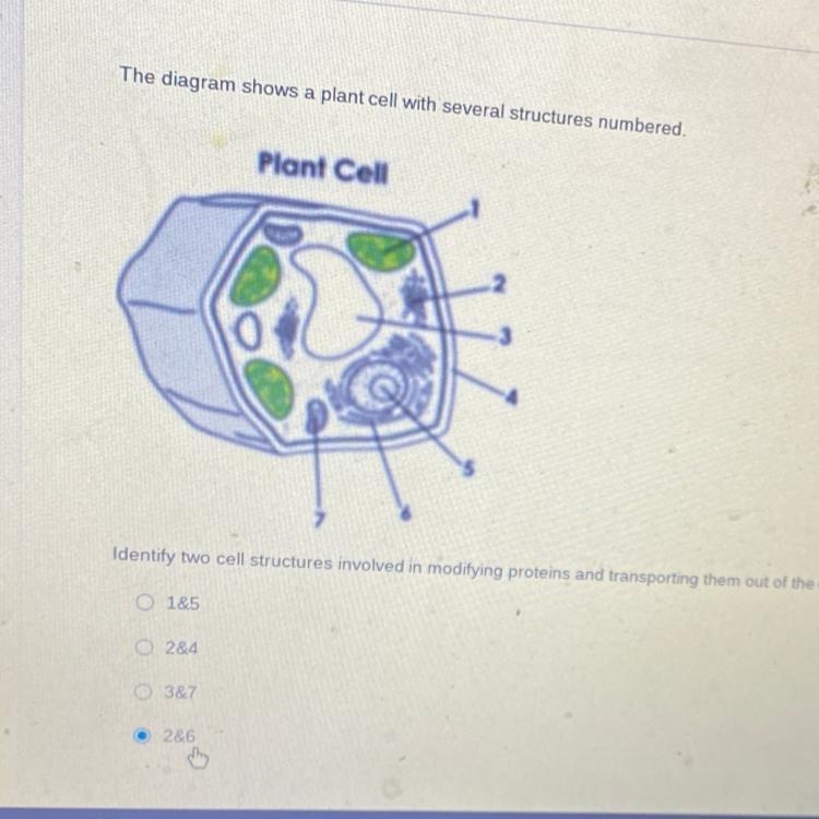 The Diagram shows a plant cell with several structures numbered?-example-1