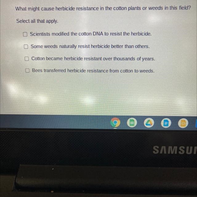 Pls help ASAP I really need help-example-1