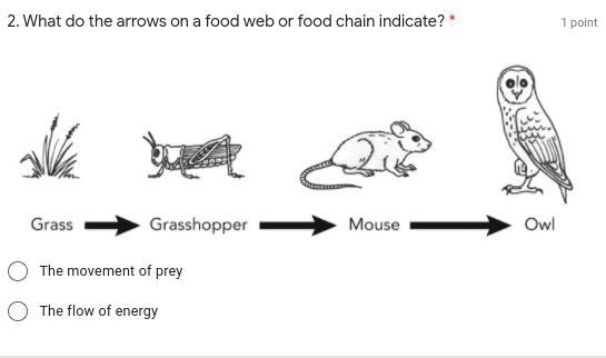 What do the arrows on a food web or food chain indicate?-example-1