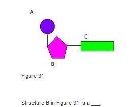 Biology need help asap-example-1