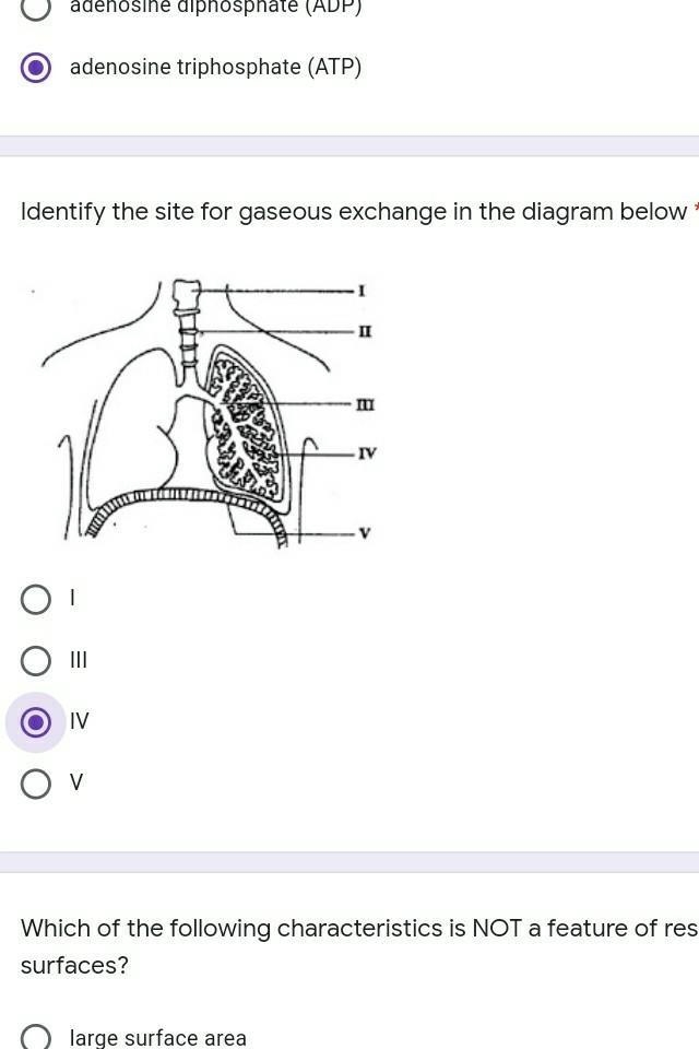 Is this wrong? [extra characters]​-example-1