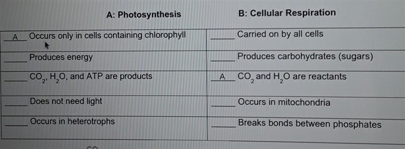 Help with all of them please ​-example-1