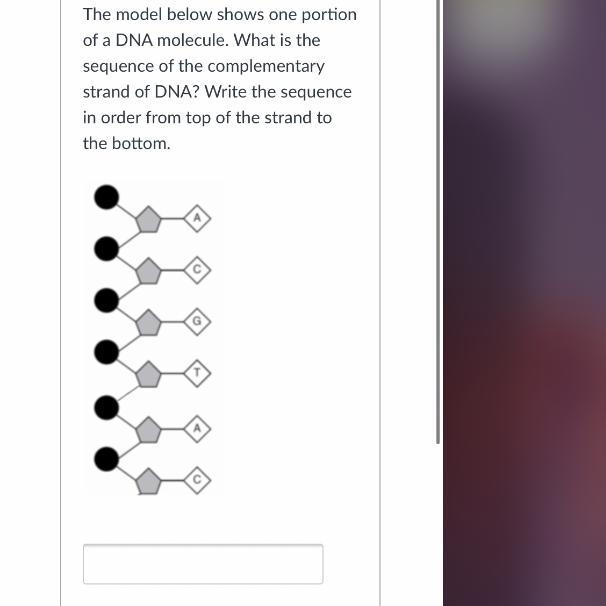 What is the answer to this? Plsss helpp-example-1