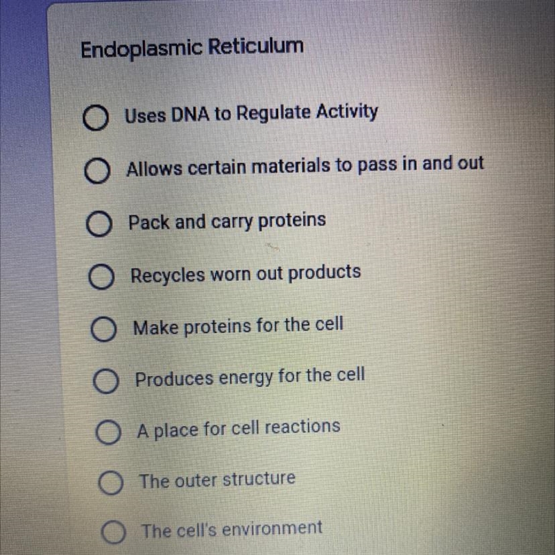 What is the function of endoplasmic reticulum-example-1