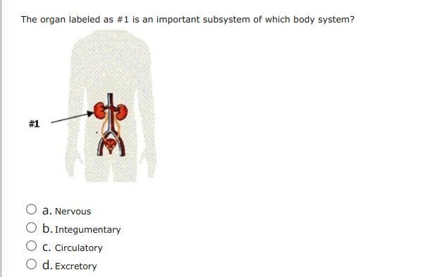 Please help soon i give brainless-example-1